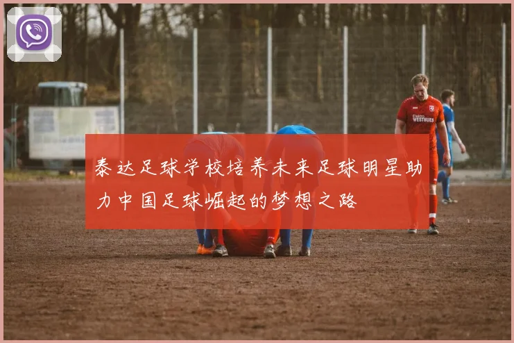 泰达足球学校培养未来足球明星助力中国足球崛起的梦想之路
