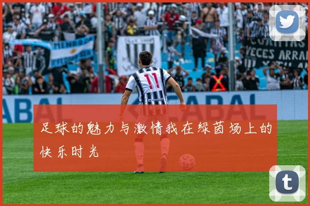 足球的魅力与激情我在绿茵场上的快乐时光