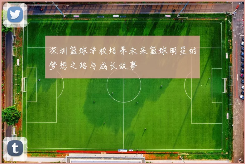 深圳篮球学校培养未来篮球明星的梦想之路与成长故事