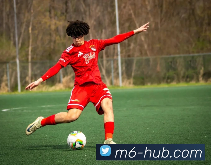 米乐体育官方网站APP 高清赛事图